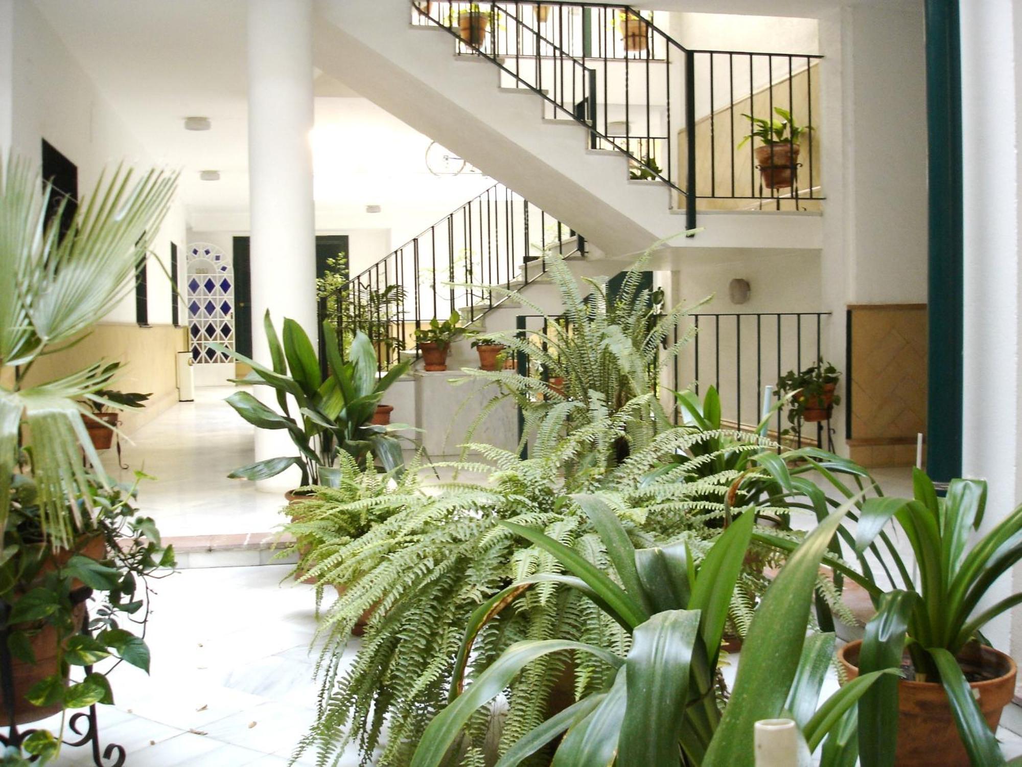 Archeros Suite, Seville